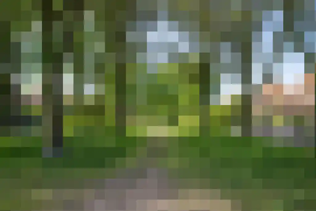 Sijzenlaan 72 Den Haag thumbnail 43
