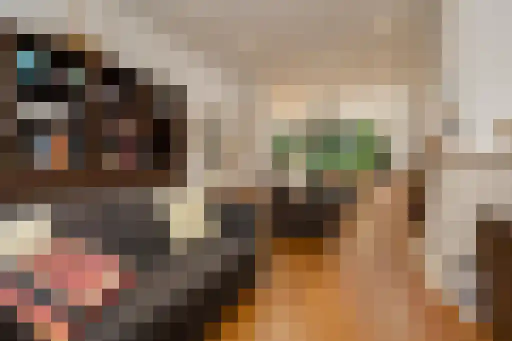 Sijzenlaan 72 Den Haag thumbnail 5