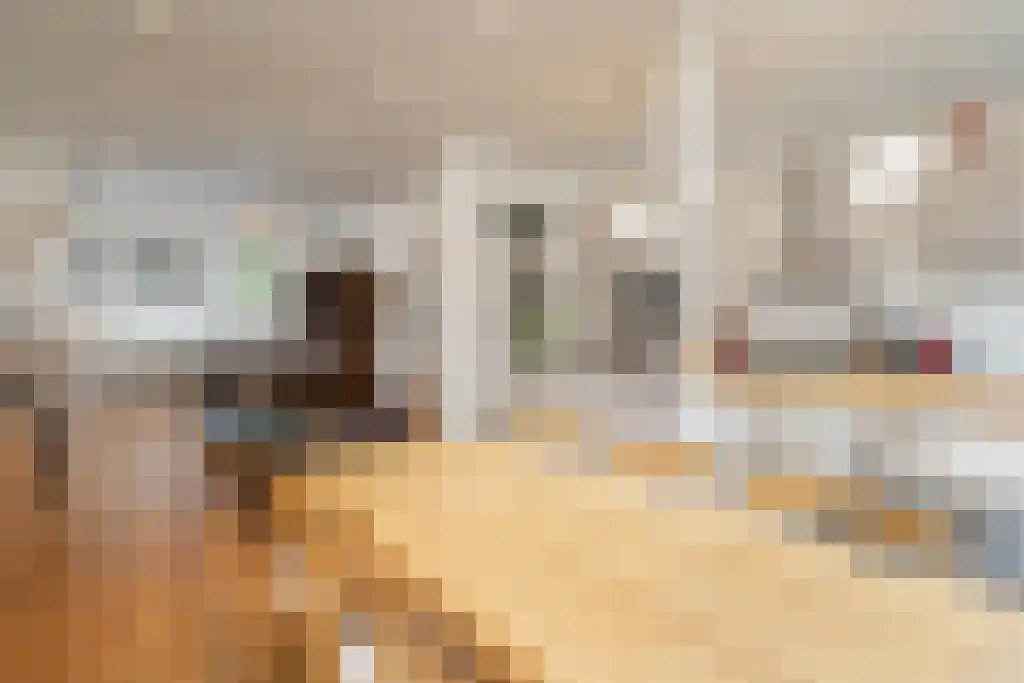 Sijzenlaan 72 Den Haag thumbnail 6
