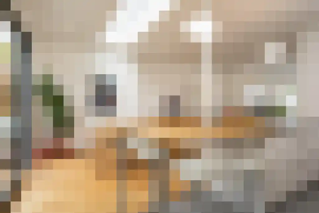 Sijzenlaan 72 Den Haag thumbnail 7