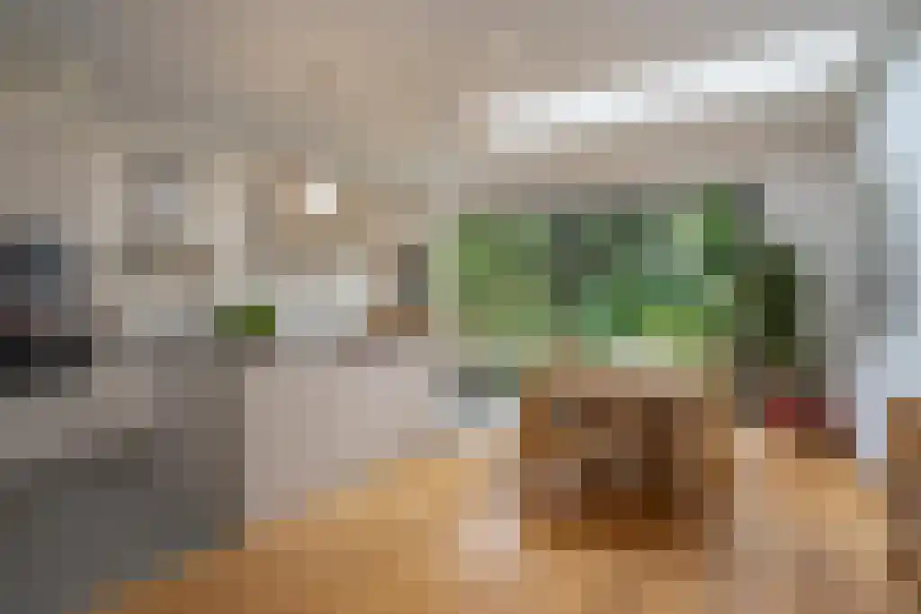 Sijzenlaan 72 Den Haag thumbnail 8