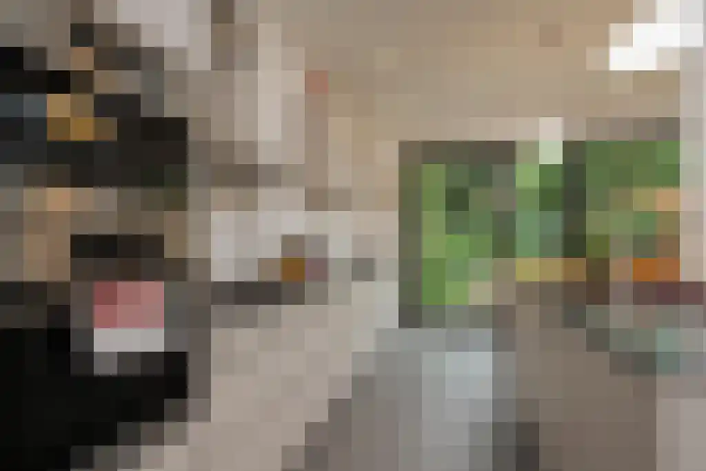 Sijzenlaan 72 Den Haag thumbnail 9
