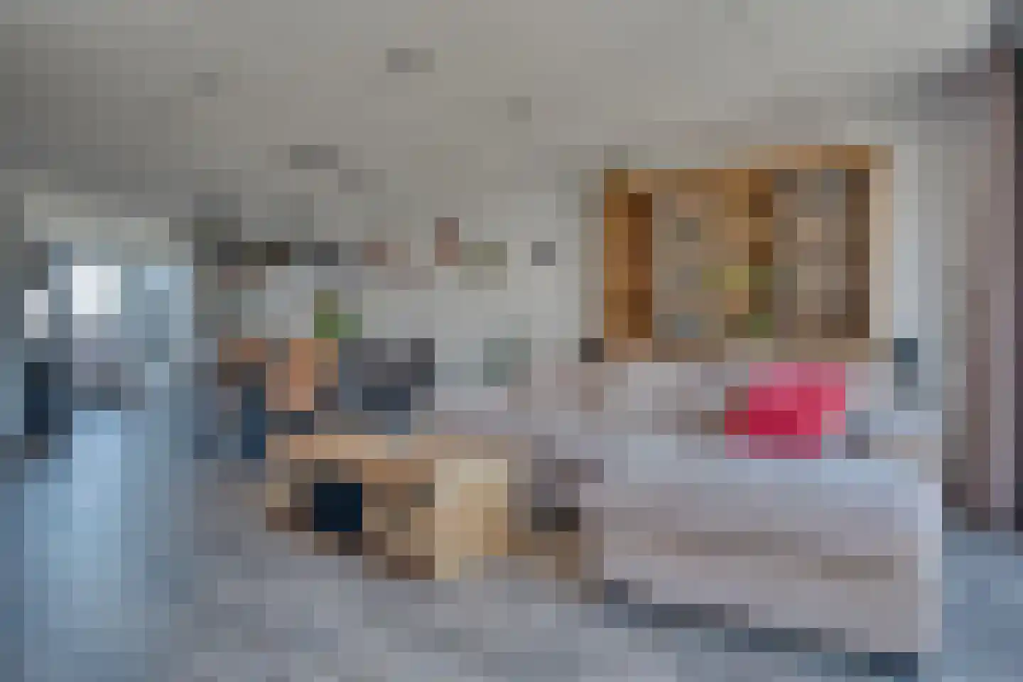 Sikkel 1 Hendrik-Ido-Ambacht thumbnail 11