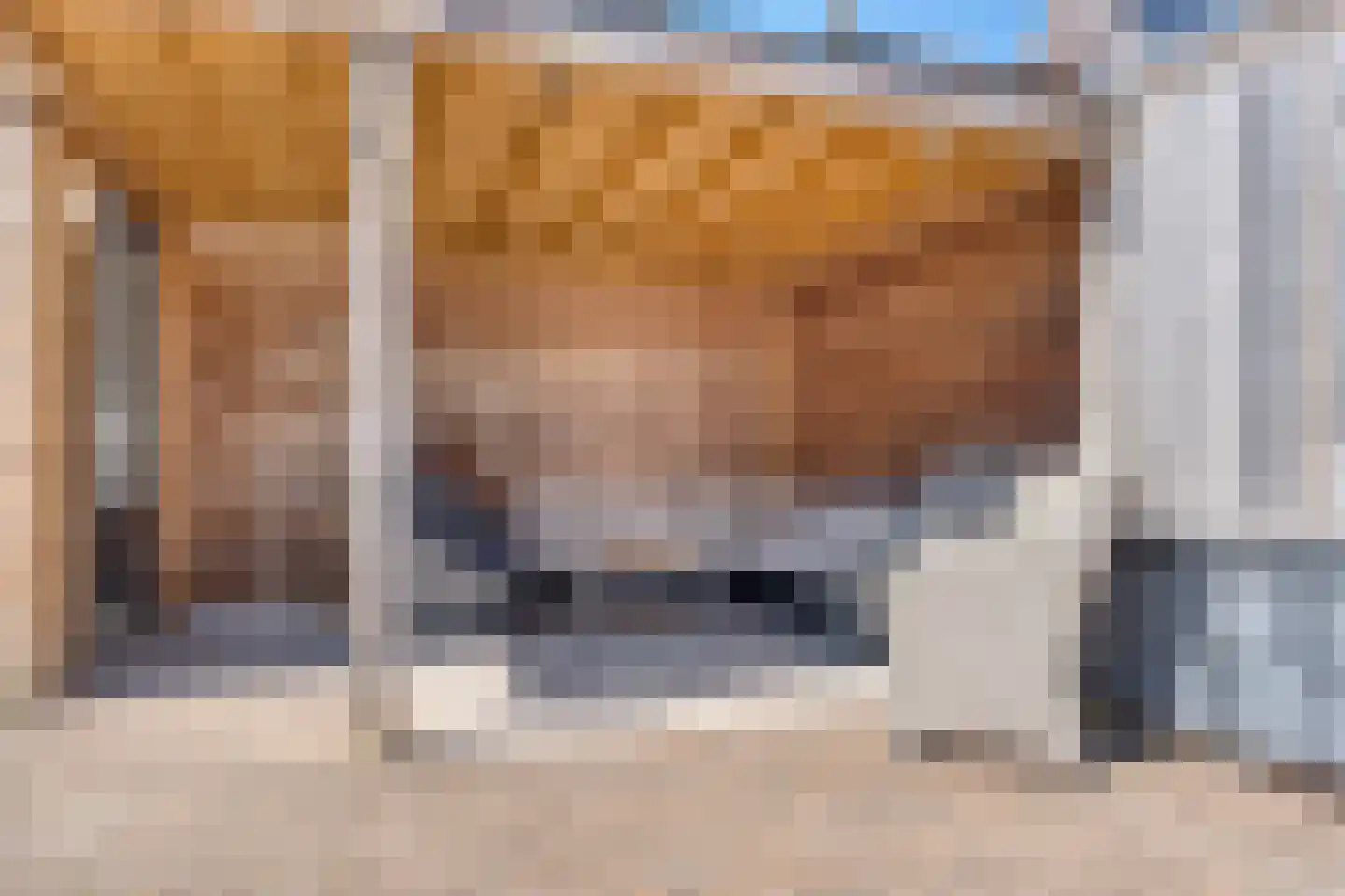 Sikkel 1 Hendrik-Ido-Ambacht thumbnail 24