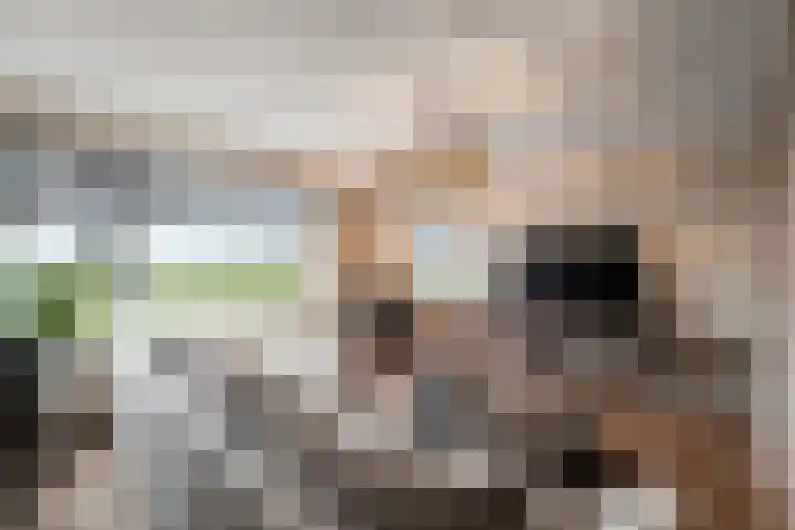 Sikkel 1 Wieringerwerf thumbnail 11