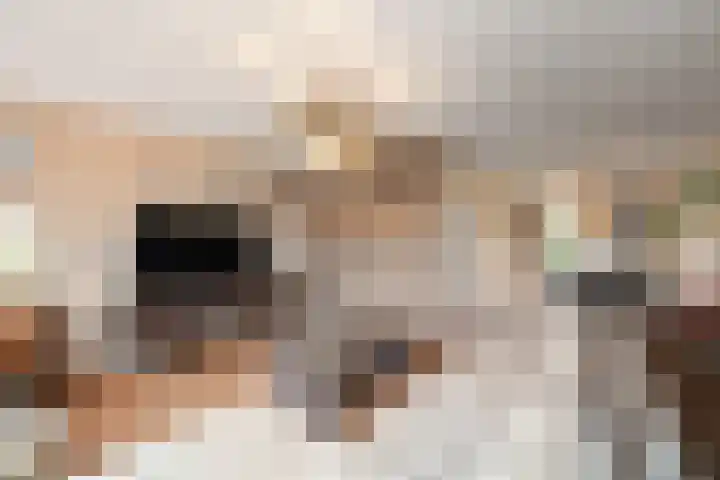 Sikkel 1 Wieringerwerf thumbnail 13