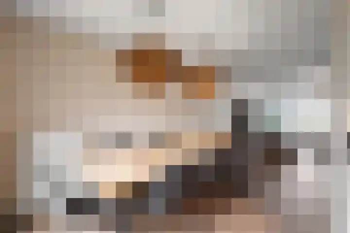 Sikkel 1 Wieringerwerf thumbnail 17