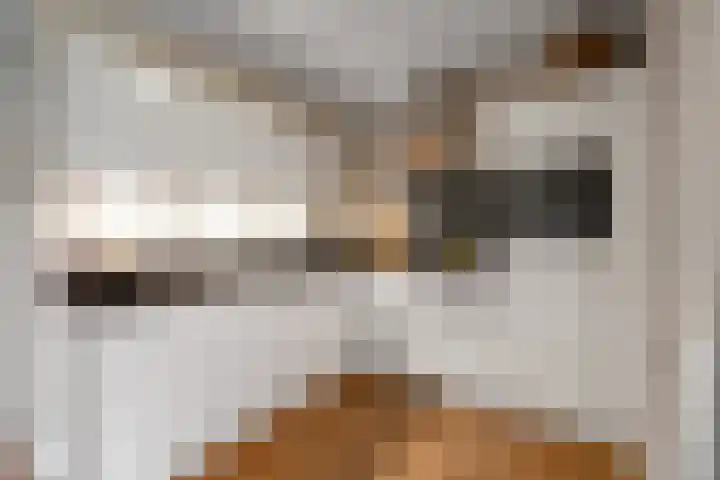 Sikkel 1 Wieringerwerf thumbnail 18