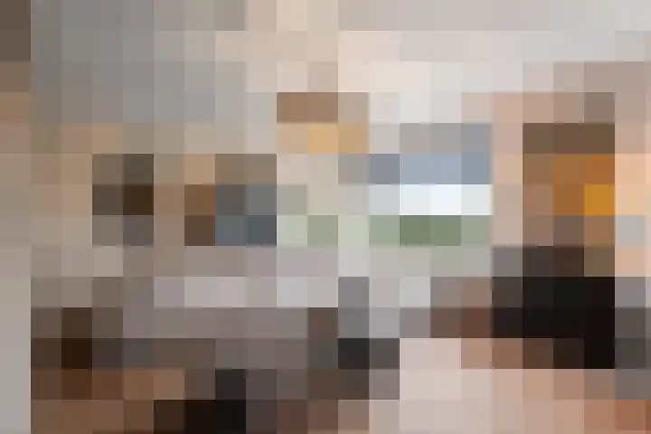 Sikkel 1 Wieringerwerf foto 2