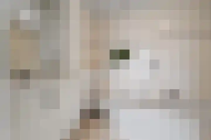 Sikkel 1 Wieringerwerf thumbnail 26