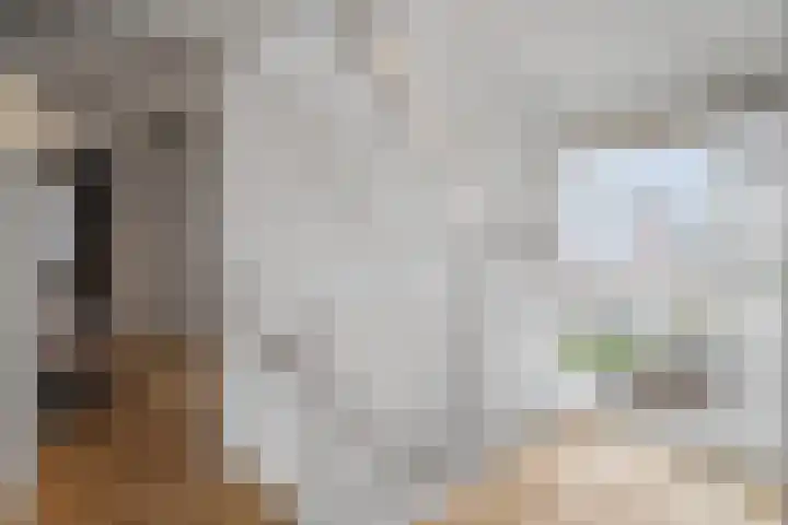 Sikkel 1 Wieringerwerf thumbnail 28