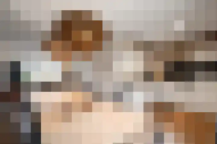 Sikkel 1 Wieringerwerf foto 3