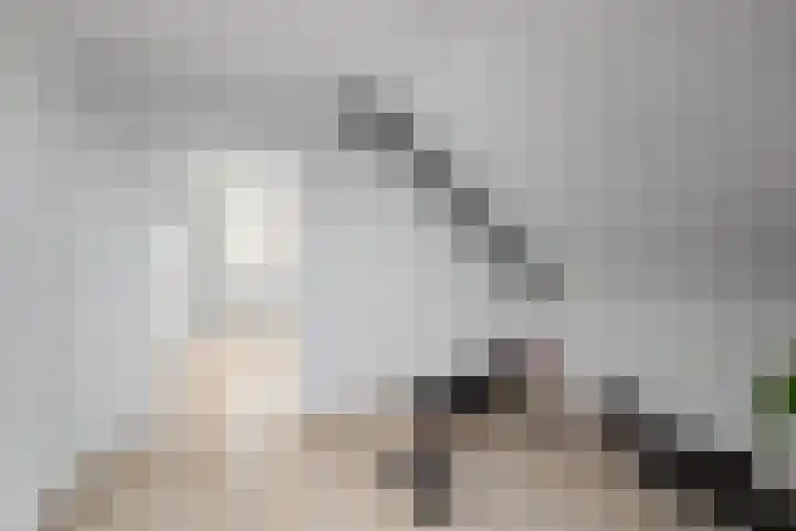Sikkel 1 Wieringerwerf thumbnail 31