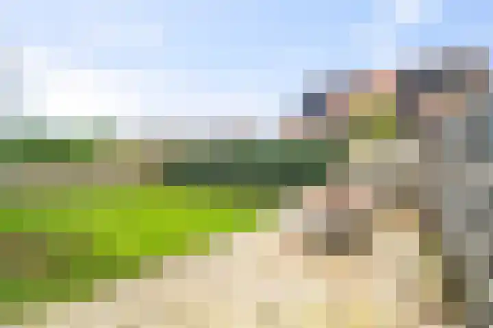 Sikkel 1 Wieringerwerf thumbnail 35