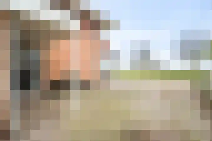 Sikkel 1 Wieringerwerf thumbnail 6