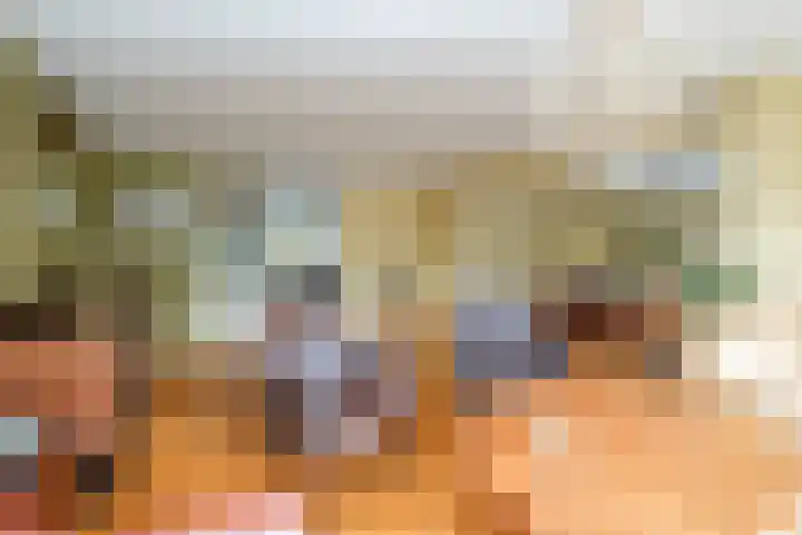 Sikkel 16 Hasselt thumbnail 12