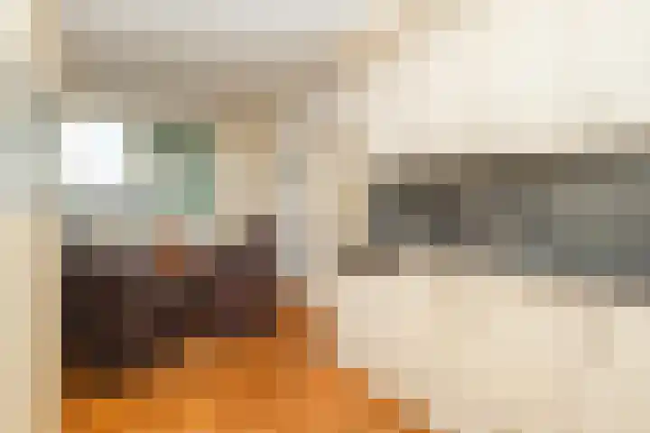Sikkel 16 Hasselt thumbnail 17
