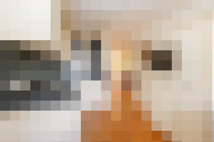 Sikkel 16 Hasselt thumbnail 18