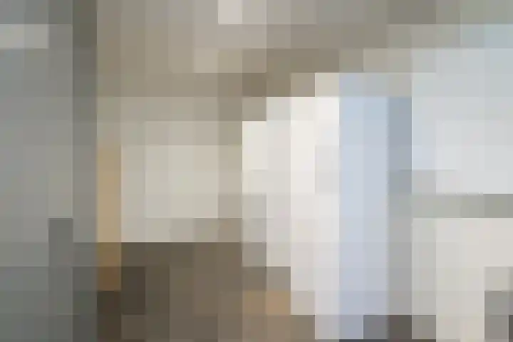 Sikkel 16 Hasselt thumbnail 19