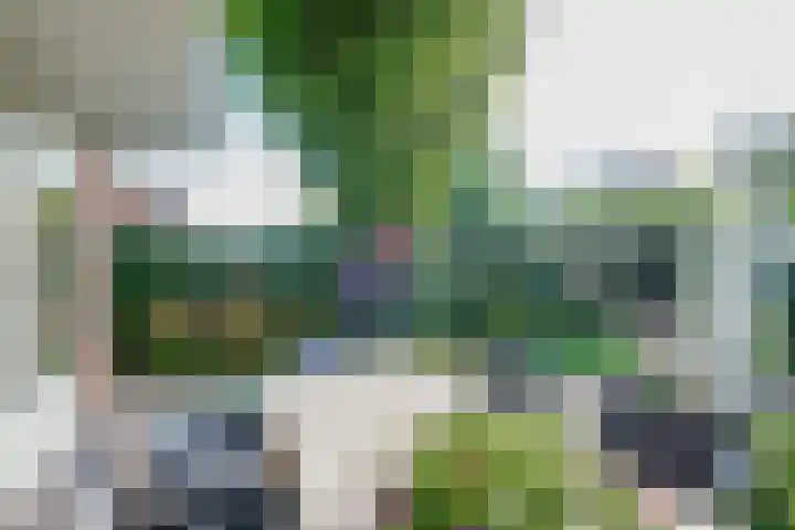 Sikkel 16 Hasselt thumbnail 4