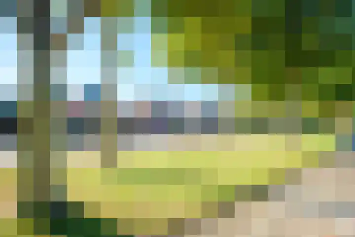 Sikkel 16 Hasselt thumbnail 48