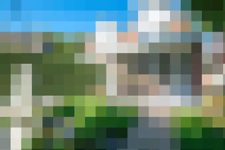 Sikkel 16 Hasselt thumbnail 5