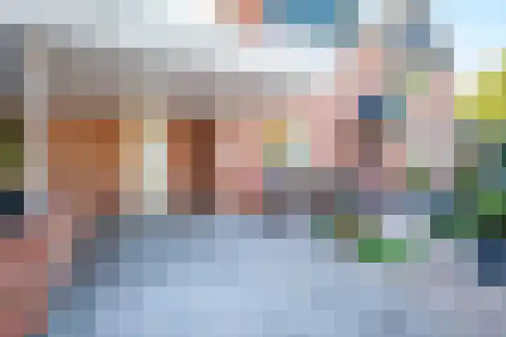 Sikkel 16 Hasselt thumbnail 8