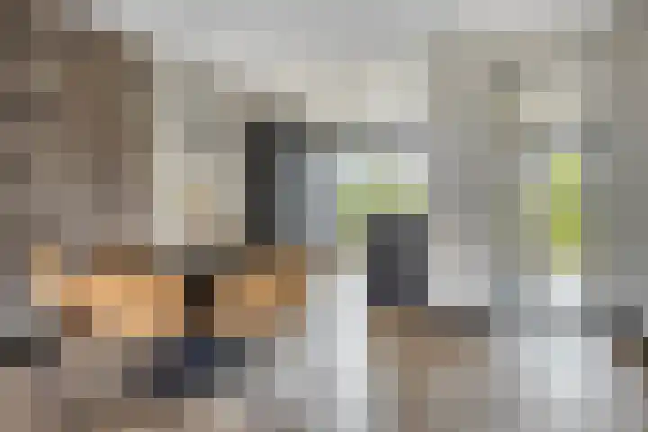 Sikkel 23 Hendrik-Ido-Ambacht thumbnail 11