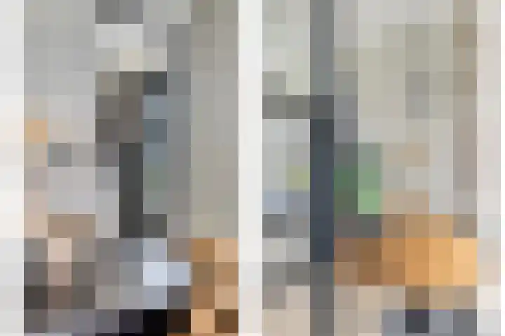 Sikkel 23 Hendrik-Ido-Ambacht thumbnail 12