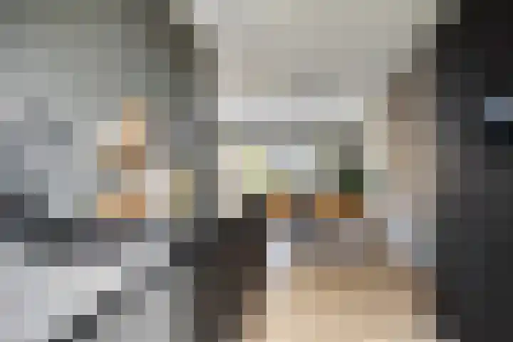 Sikkel 23 Hendrik-Ido-Ambacht thumbnail 13