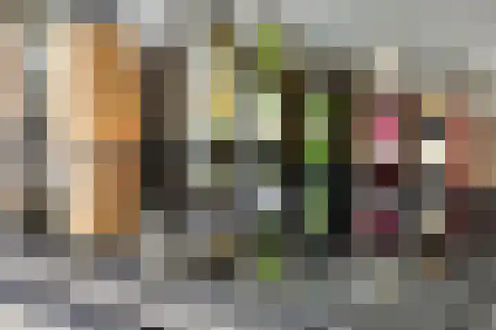 Sikkel 23 Hendrik-Ido-Ambacht thumbnail 15