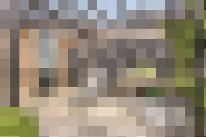 Sikkel 23 Hendrik-Ido-Ambacht thumbnail 17