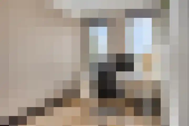 Sikkel 23 Hendrik-Ido-Ambacht thumbnail 27