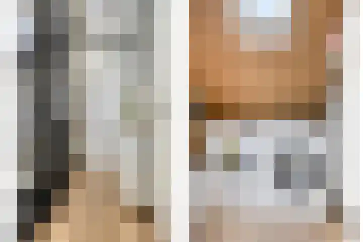 Sikkel 23 Hendrik-Ido-Ambacht thumbnail 30