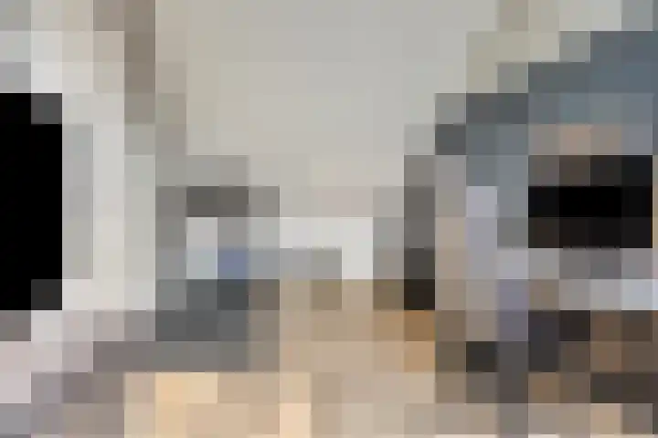 Sikkel 23 Hendrik-Ido-Ambacht thumbnail 33