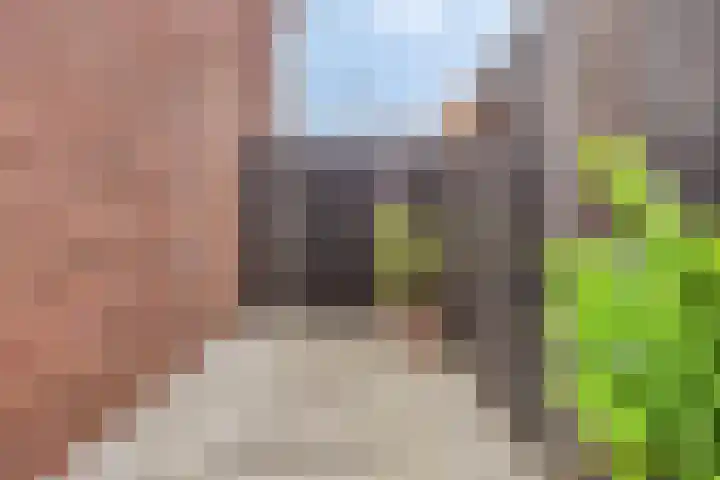 Sikkel 23 Hendrik-Ido-Ambacht thumbnail 35