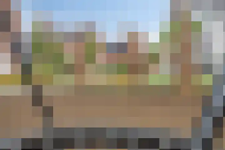 Sikkel 23 Hendrik-Ido-Ambacht thumbnail 37