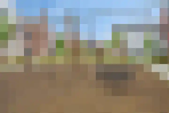 Sikkel 23 Hendrik-Ido-Ambacht thumbnail 38