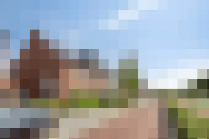 Sikkel 23 Hendrik-Ido-Ambacht thumbnail 5
