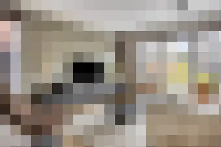 Sikkel 23 Hendrik-Ido-Ambacht thumbnail 7