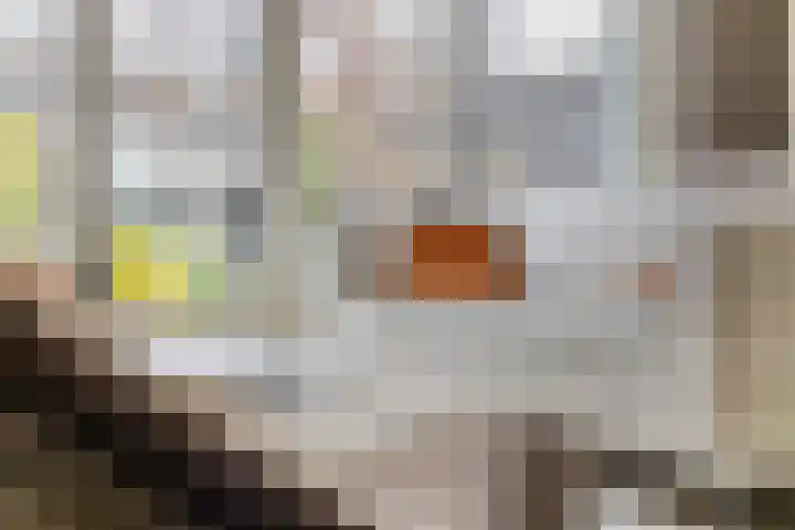 Sikkel 23 Hendrik-Ido-Ambacht thumbnail 8