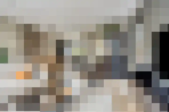 Sikkel 23 Hendrik-Ido-Ambacht thumbnail 9