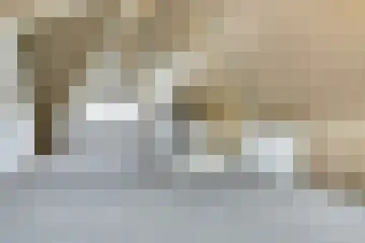 Sikkel 24 Grootebroek thumbnail 31