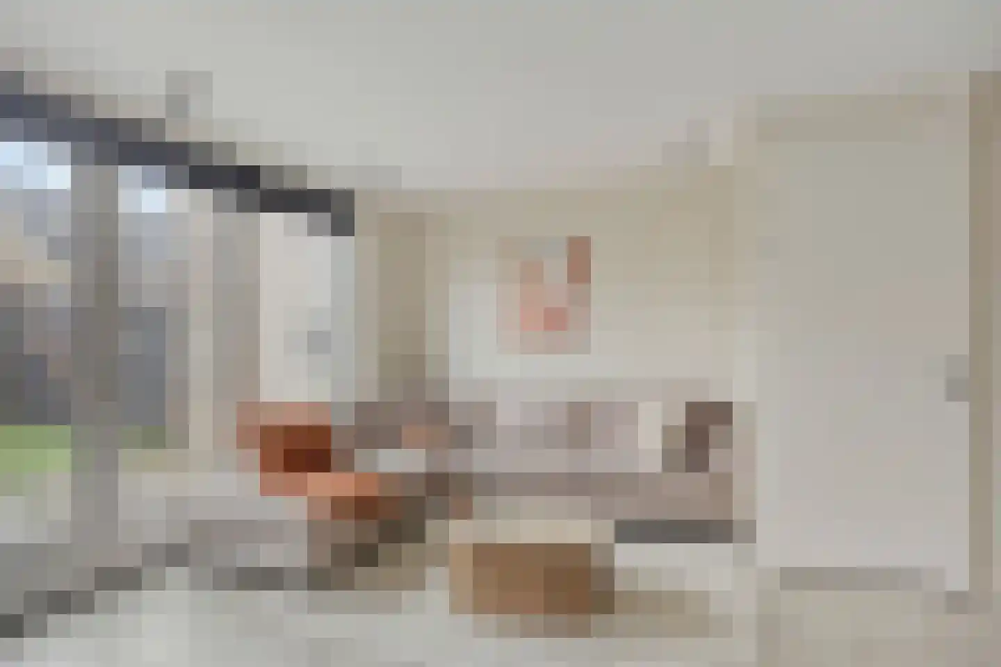 Sikkel 33 Hendrik-Ido-Ambacht thumbnail 10