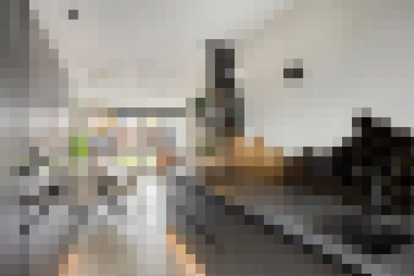Sikkel 33 Hendrik-Ido-Ambacht thumbnail 13