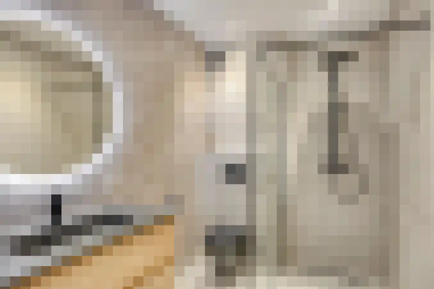 Sikkel 33 Hendrik-Ido-Ambacht thumbnail 22