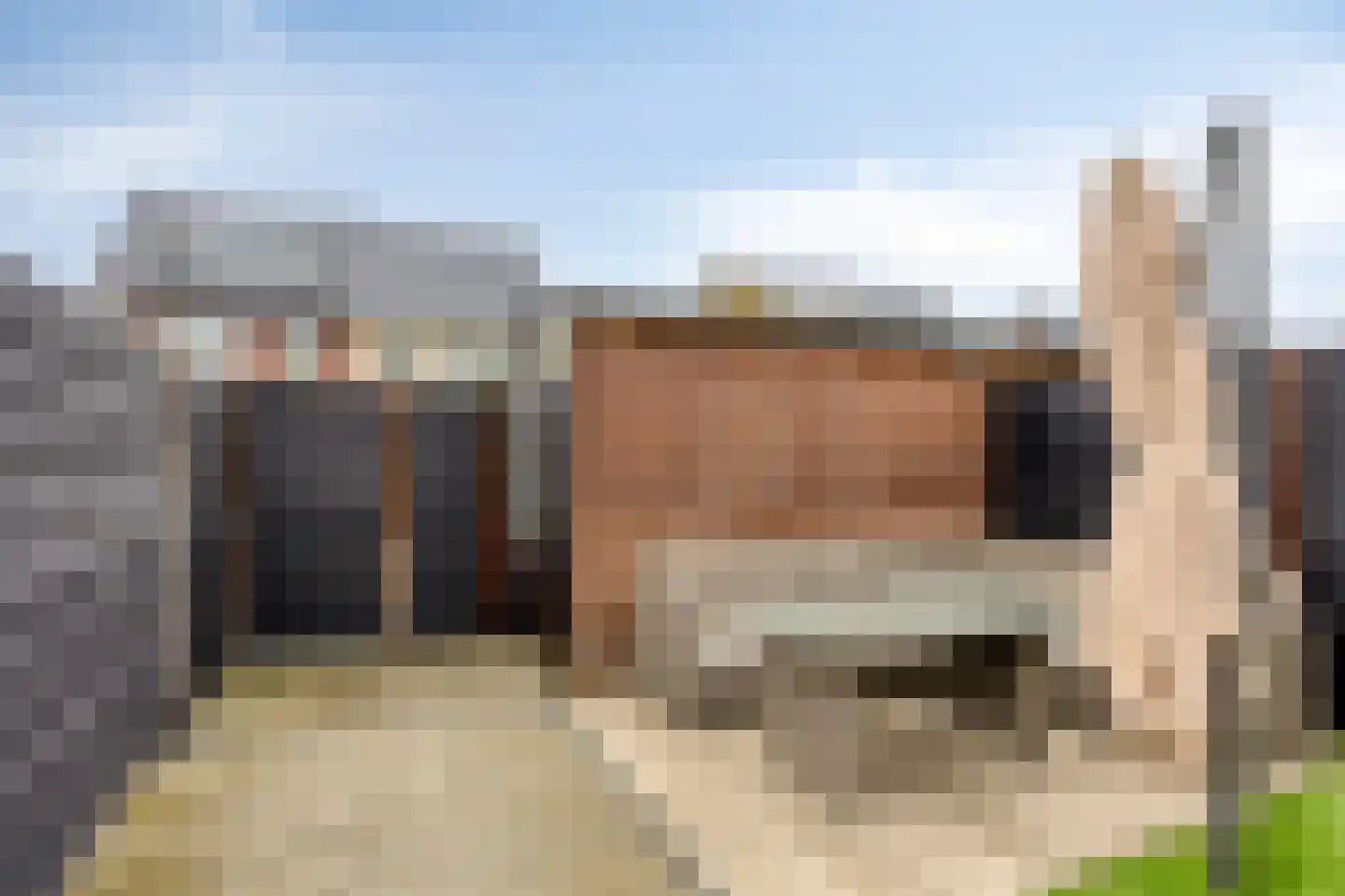 Sikkel 33 Hendrik-Ido-Ambacht thumbnail 33