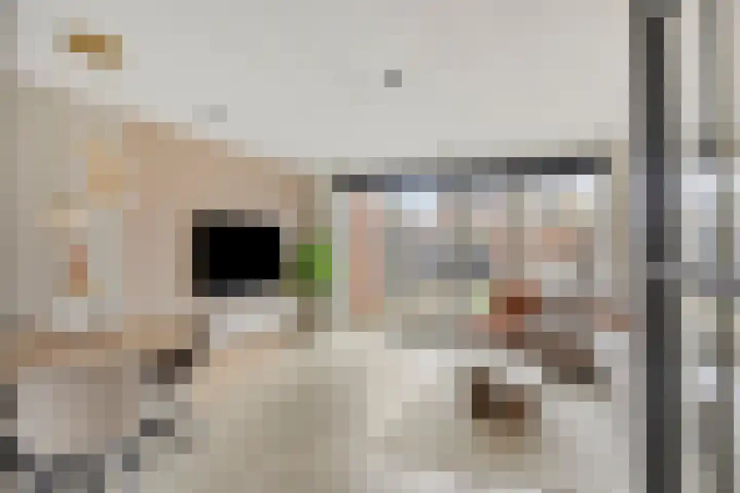 Sikkel 33 Hendrik-Ido-Ambacht thumbnail 8