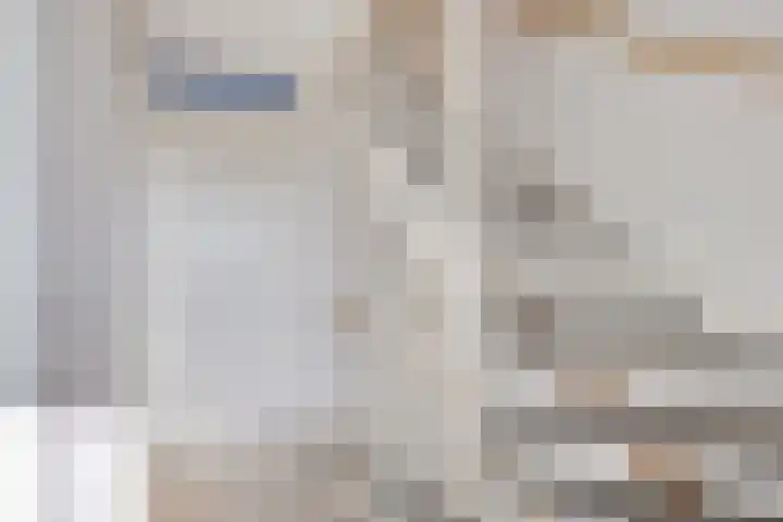 Sikkel 51 Hendrik-Ido-Ambacht thumbnail 14