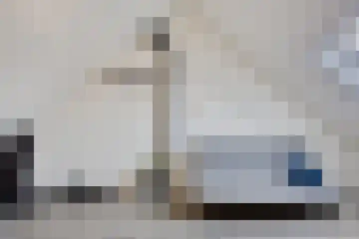 Sikkel 51 Hendrik-Ido-Ambacht thumbnail 22